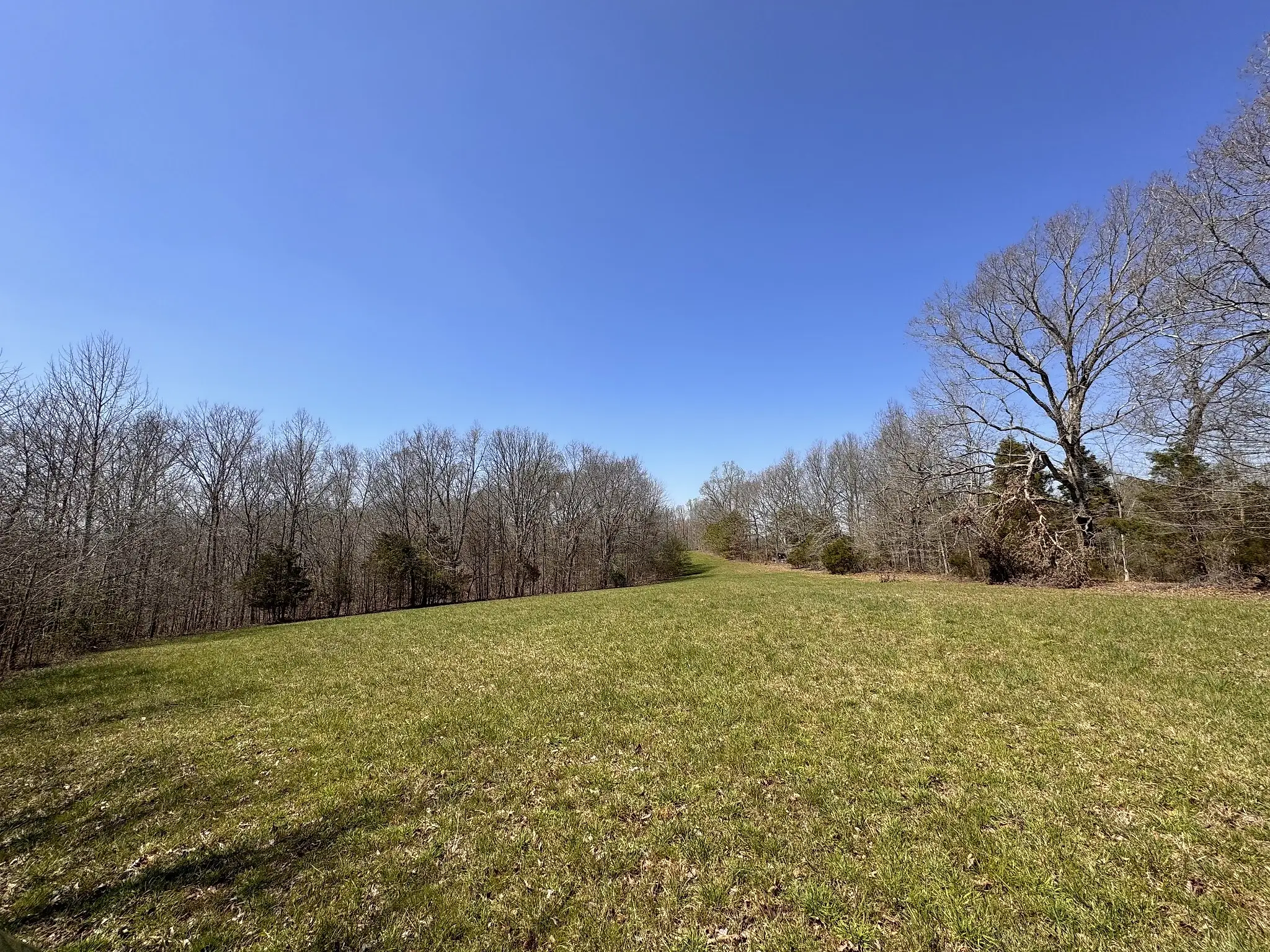 Chestnut Grove Cemetery Rd