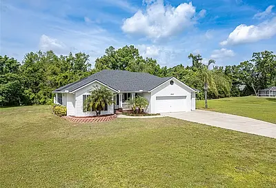 5040 Norriswood Drive Mulberry FL 33860