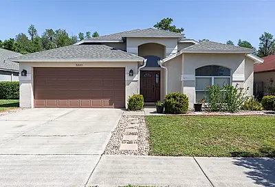 31223 Chatterly Drive Wesley Chapel FL 33543