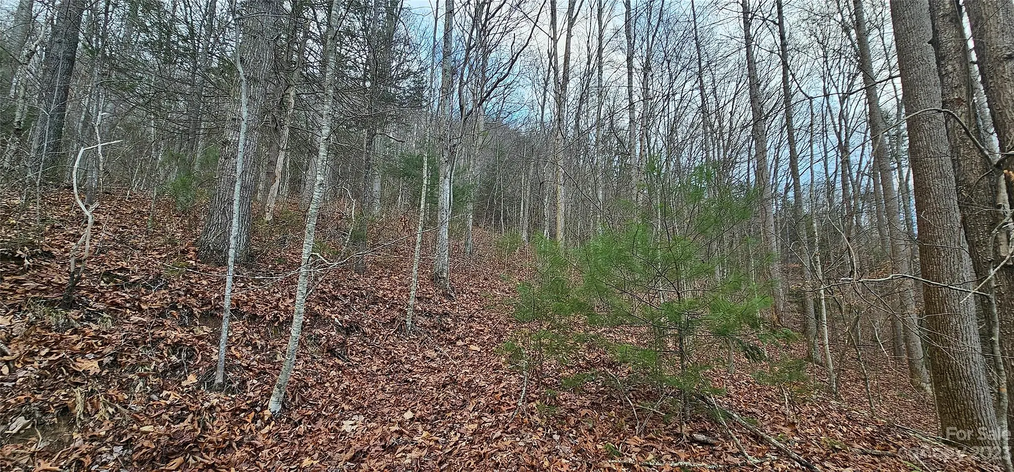 5 Lots Seay Mountain Road