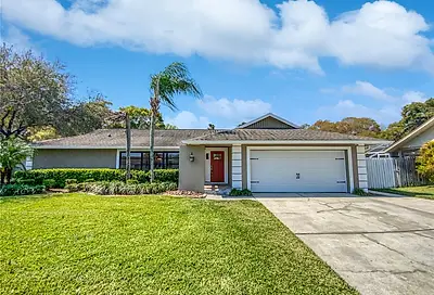 202 Running Horse Road Seffner FL 33584