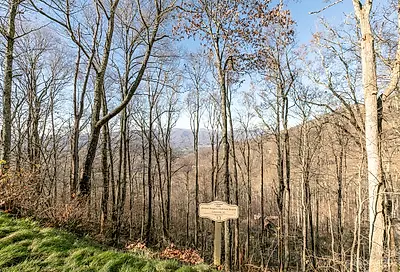 Lot 13 Old Growth Forest Road Burnsville NC 28714