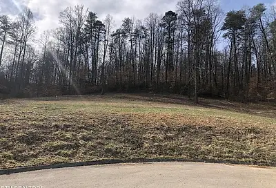 Lot 7 Briar Ridge Lane Strawberry Plains TN 37871