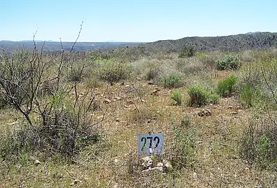 Lot 272 End Of The Trail Road Willcox AZ 85643