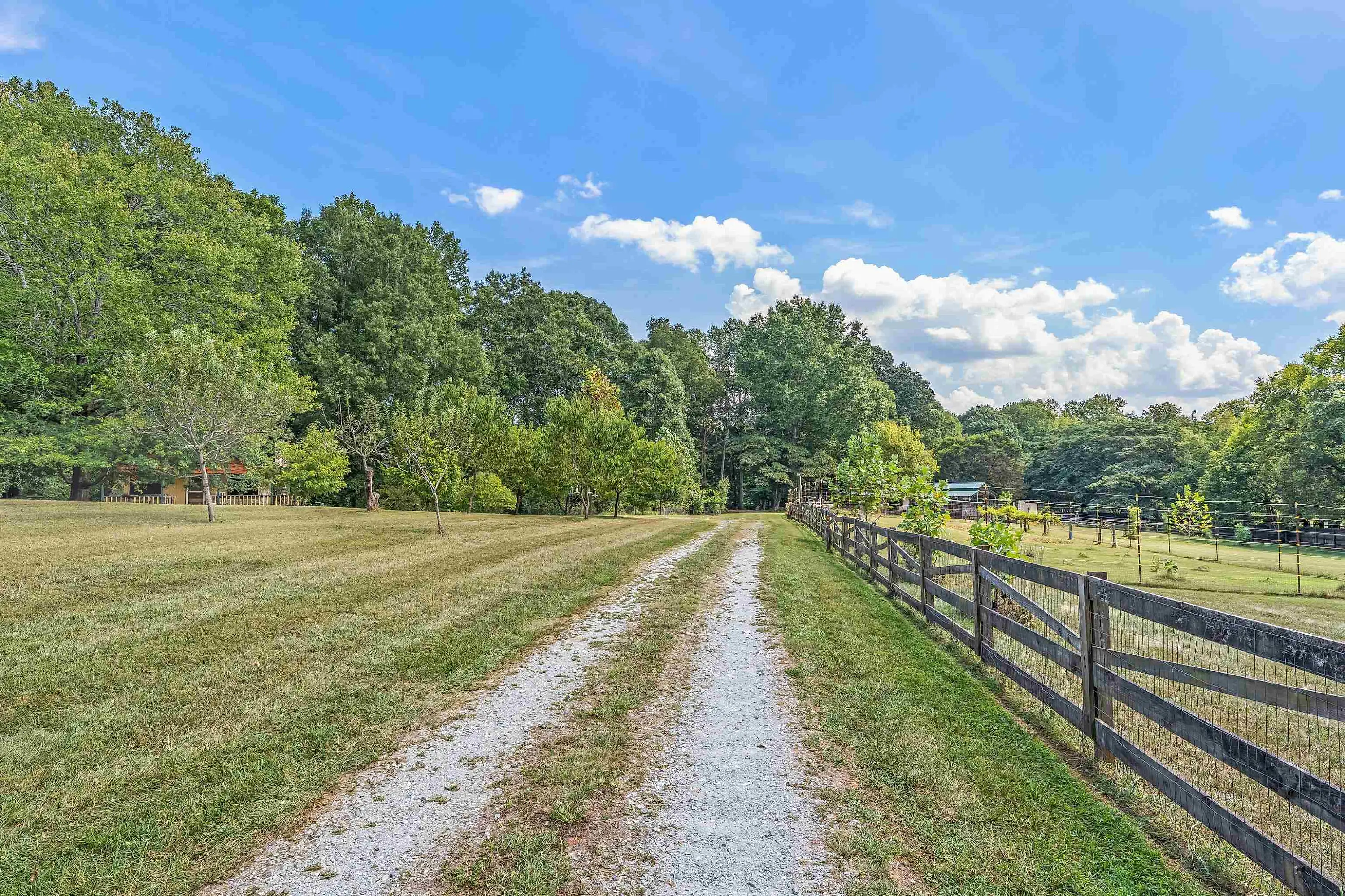 1907 Old Red Mountain Road