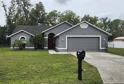 23854 Forest Place Land O Lakes FL 34639