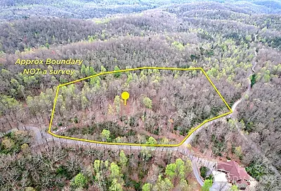 Tbd Forest Brook Drive Black Mountain NC 28711