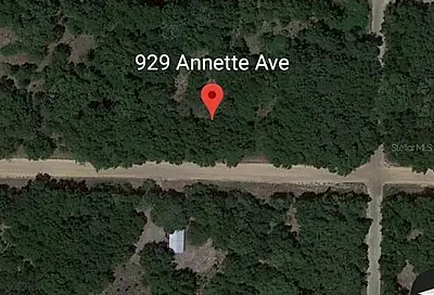 929 Annette Avenue Interlachen FL 32148