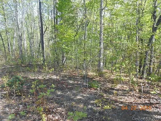 Lot 73 Tayberry Drive