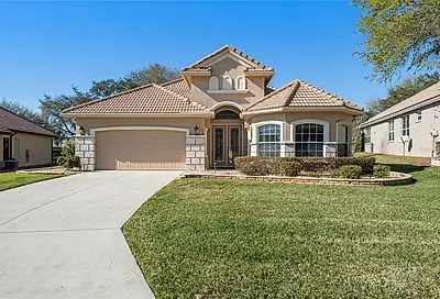 979 W Sun Valley Court Hernando FL 34442