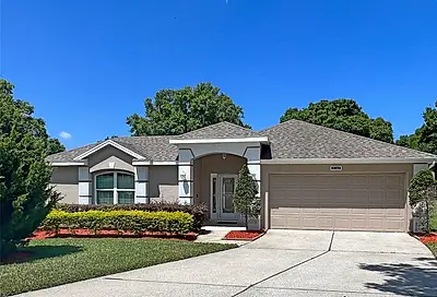 2242 Belsfield Circle Clermont FL 34711