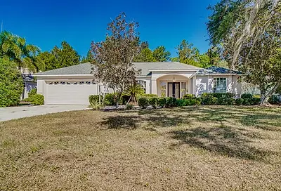 11215 Pine Lilly Place Lakewood Ranch FL 34202