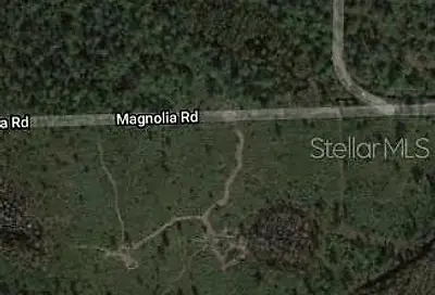 Magnolia Road New Smyrna Beach FL 32168