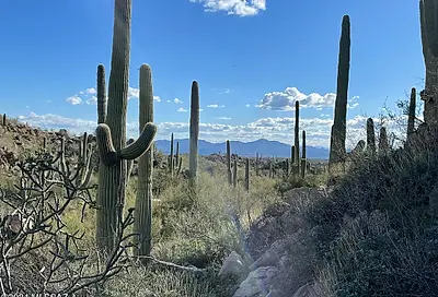 1149 W Tortolita Mountain Circle Circle W Oro Valley AZ 85755