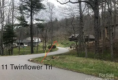 11 Twinflower Trail Asheville NC 28804