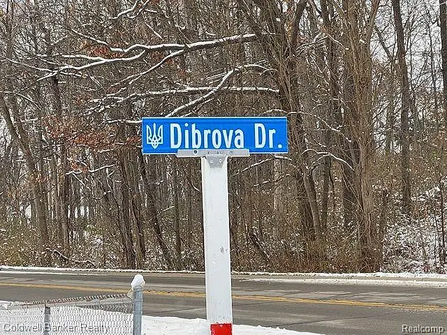 0000 Dibrova Drive