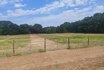 Lot 4 Bloomfield Road Valley View TX 76272