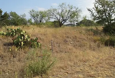 Lot 217-R Oak Tree Drive Possum Kingdom Lake TX 76449