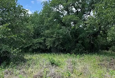 Lot 35 Galway Rd Poolville TX 76487