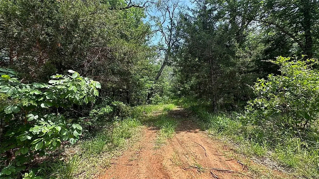 279 Coyote Trail