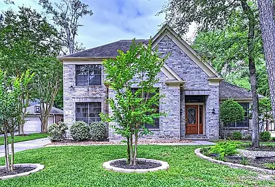 14 Treestar Place The Woodlands TX 77381