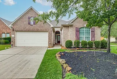 2 Dragon Hill Place The Woodlands TX 77381