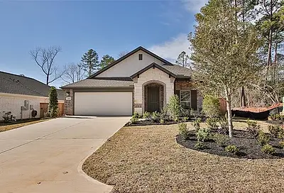 215 Butterfly Orchid Court Willis TX 77318