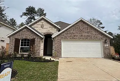 218 Butterfly Orchid Court Willis TX 77318