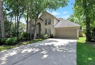 14 Scenic Mill Place The Woodlands TX 77382