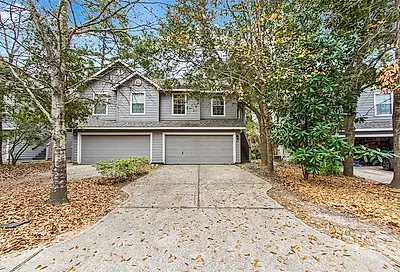 143 Anise Tree Place The Woodlands TX 77382