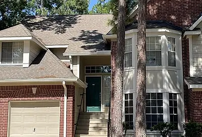 154 N Magnolia Pond Place The Woodlands TX 77381