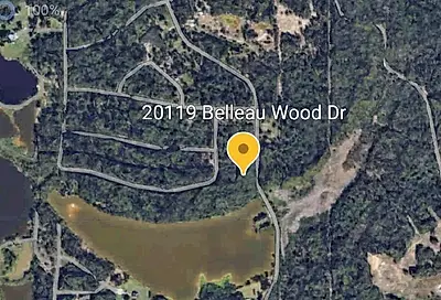 20119 Belleau Wood Drive Houston TX 77338