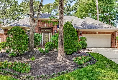 30 Weeping Spruce Court The Woodlands TX 77384