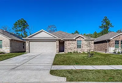 18221 Cascadia Mill Court New Caney TX 77357