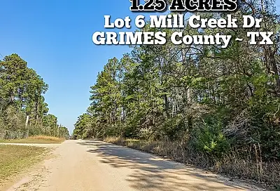 13167 Mill Creek Drive N Plantersville TX 77363