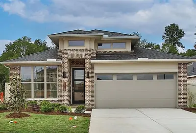 119 Harlequin Duck Court Magnolia TX 77354