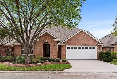 15231 Scenic Forest Drive Conroe TX 77384