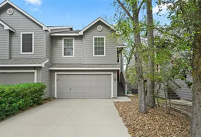 95 Anise Tree Place The Woodlands TX 77382
