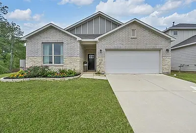 10803 Violet Bloom Drive Tomball TX 77375