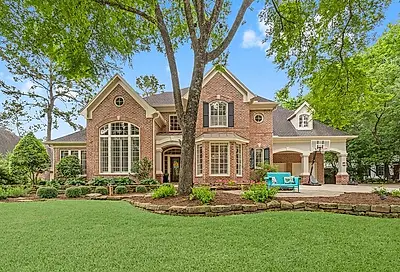 14 Serenity Woods Place The Woodlands TX 77382