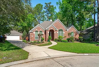 11 Mistral Wind Place The Woodlands TX 77382