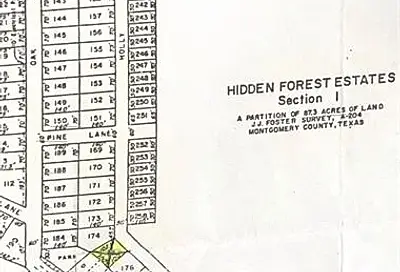 Tbd Holly Drive -Lot 175 Montgomery TX 77356