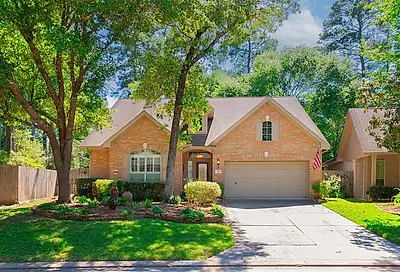39 W Bellmeade Place The Woodlands TX 77382