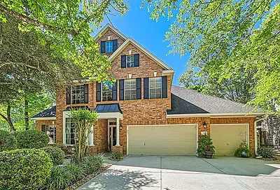 3 Doeskin Place The Woodlands TX 77382