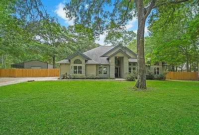 23917 Wild Forest Drive New Caney TX 77357
