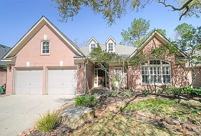 19 Wild Meadow Court The Woodlands TX 77380