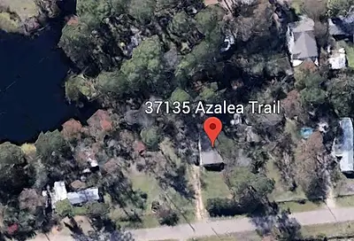 37135 Azalea Trail Magnolia TX 77354