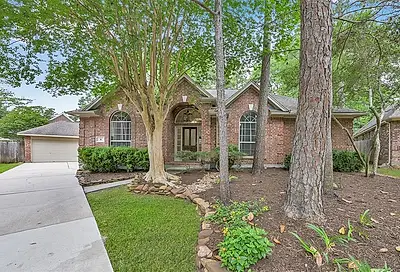 31 Rippled Pond Circle The Woodlands TX 77382
