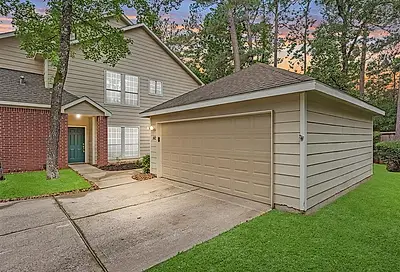 142 N Magnolia Pond Place Place The Woodlands TX 77381