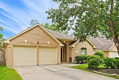 31 Heron Hollow Court The Woodlands TX 77382